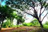 Land for sale in Talat, Maha Sarakham