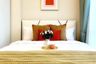1 Bedroom Condo for rent in Bang Na, Bangkok near BTS Udom Suk