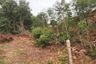 Land for sale in Sena, Phra Nakhon Si Ayutthaya