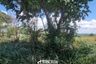 Land for sale in Khanong Phra, Nakhon Ratchasima