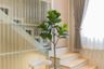 2 Bedroom Townhouse for rent in Tha Sala, Chiang Mai