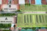 Land for sale in Bang Khu Rat, Nonthaburi
