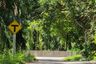 Land for sale in Khao Thong, Krabi