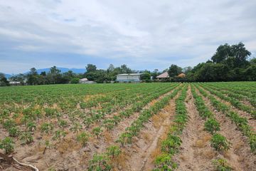 Land for sale in Bang Phra, Chonburi