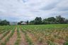 Land for sale in Bang Phra, Chonburi