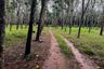 Land for sale in Khao Khram, Krabi
