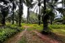 Land for sale in Khao Khram, Krabi