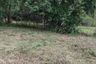 Land for sale in Huai Sai, Chiang Mai