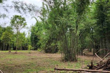 Land for sale in Nong Han, Chiang Mai
