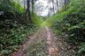 Land for sale in Kalai, Phang Nga