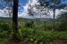 Land for sale in Kalai, Phang Nga