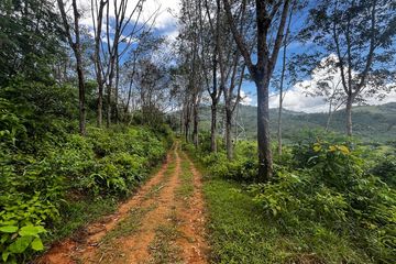 Land for sale in Kalai, Phang Nga