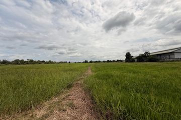 Land for sale in Makhuea Chae, Lamphun