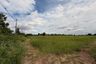 Land for sale in Makhuea Chae, Lamphun