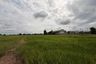 Land for sale in Makhuea Chae, Lamphun