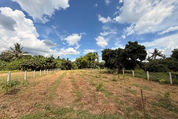Land for sale in Khua Mung, Chiang Mai