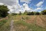 Land for sale in Khua Mung, Chiang Mai