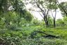 Land for sale in Fa Ham, Chiang Mai