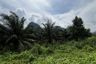 Land for sale in Khao Khram, Krabi