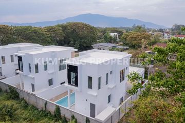 4 Bedroom House for Sale or Rent in Pa Daet, Chiang Mai