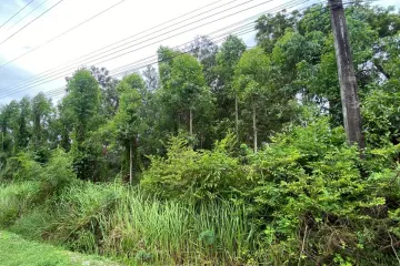 Land for sale in Kram, Rayong