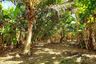 Land for sale in Klaeng, Rayong