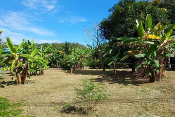 Land for sale in Klaeng, Rayong