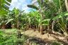 Land for sale in Klaeng, Rayong