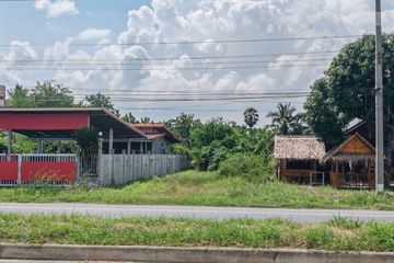 Land for sale in Nong Ong, Suphan Buri