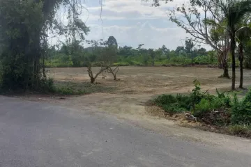 Land for sale in Pa Pong, Chiang Mai
