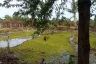 Land for sale in Pa Pong, Chiang Mai