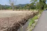 Land for sale in Pa Pong, Chiang Mai