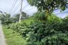 Land for sale in Chorakhe Sam Phan, Suphan Buri