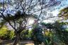 6 Bedroom House for sale in Suthep, Chiang Mai