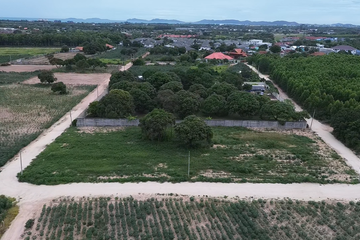 Land for sale in Ban Chang, Rayong