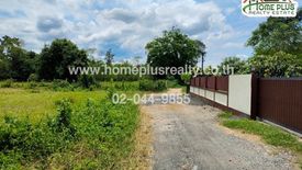 Land for sale in Rim Tai, Chiang Mai