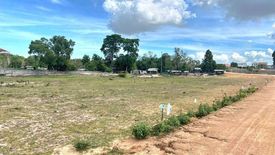 Land for sale in Nong Mai Daeng, Chonburi