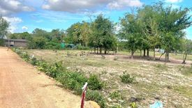 Land for sale in Nong Mai Daeng, Chonburi