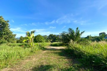 Land for sale in Choeng Thale, Phuket