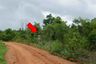 Land for sale in Rop Mueang, Chaiyaphum