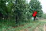 Land for sale in Rop Mueang, Chaiyaphum