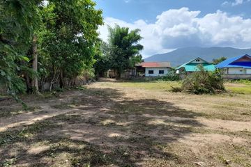 Land for sale in Mae Hia, Chiang Mai