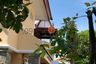 4 Bedroom House for rent in Khlong Song Ton Nun, Bangkok