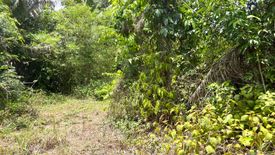 Land for sale in Thai Mueang, Phang Nga