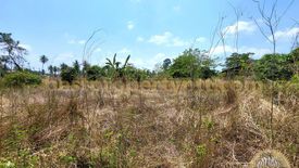 Land for sale in Huai Yai, Chonburi