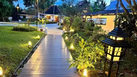 25 Bedroom Hotel / Resort for rent in Suthep, Chiang Mai