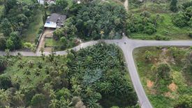 Land for sale in Taling Chan, Krabi