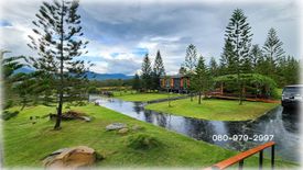 Land for sale in Pak Chong, Nakhon Ratchasima