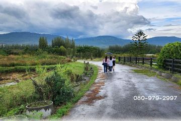 Land for sale in Pak Chong, Nakhon Ratchasima