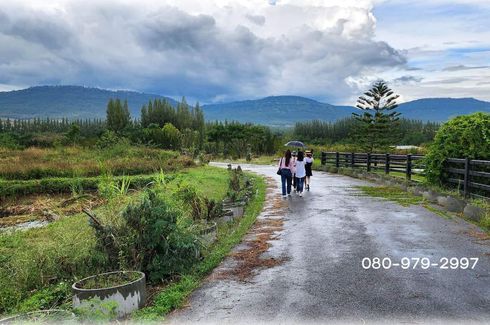 Land for sale in Pak Chong, Nakhon Ratchasima